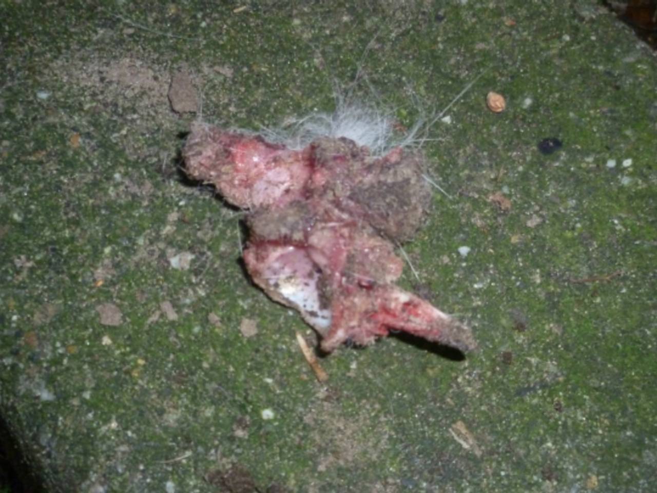 Omroep Brabant