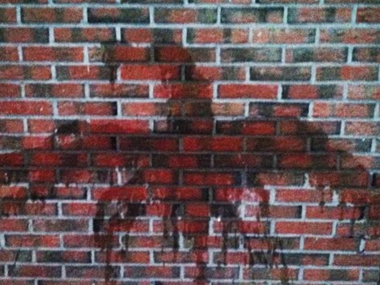 Wildplasser Theo Brandwijk maakt kunstwerkjes met zijn urine.