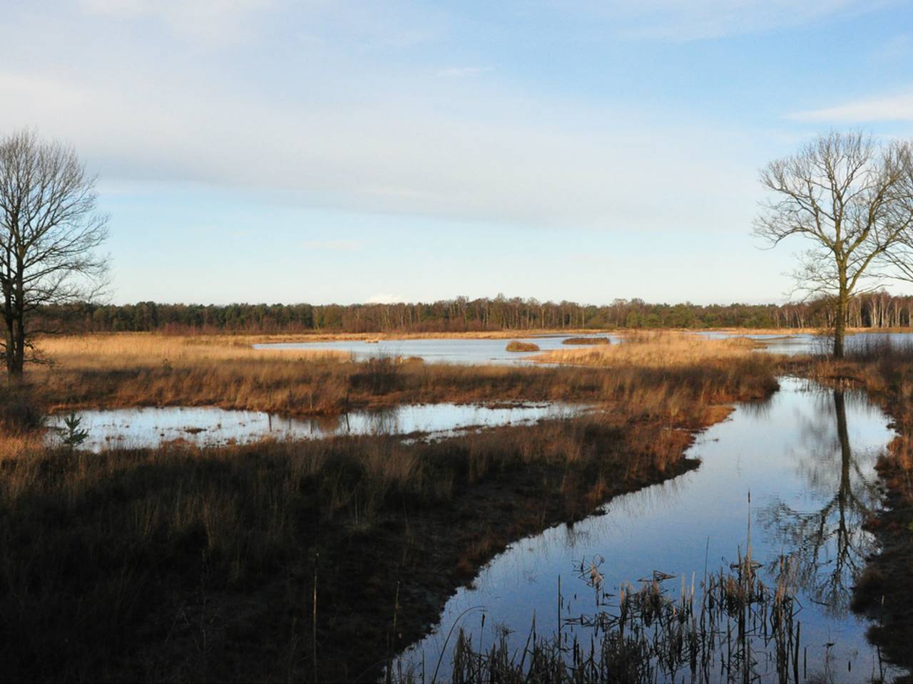 Omroep Brabant