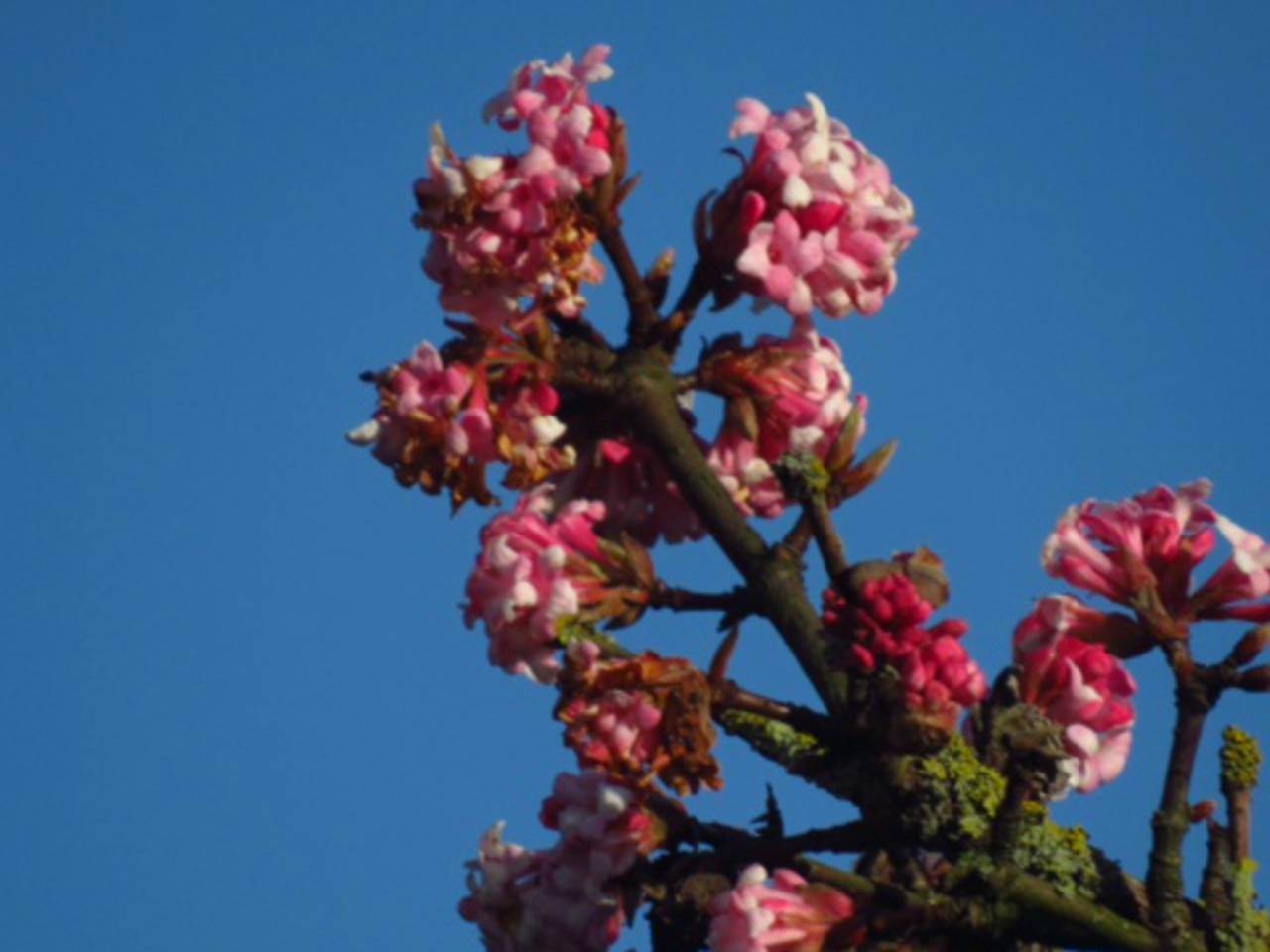 Omroep Brabant