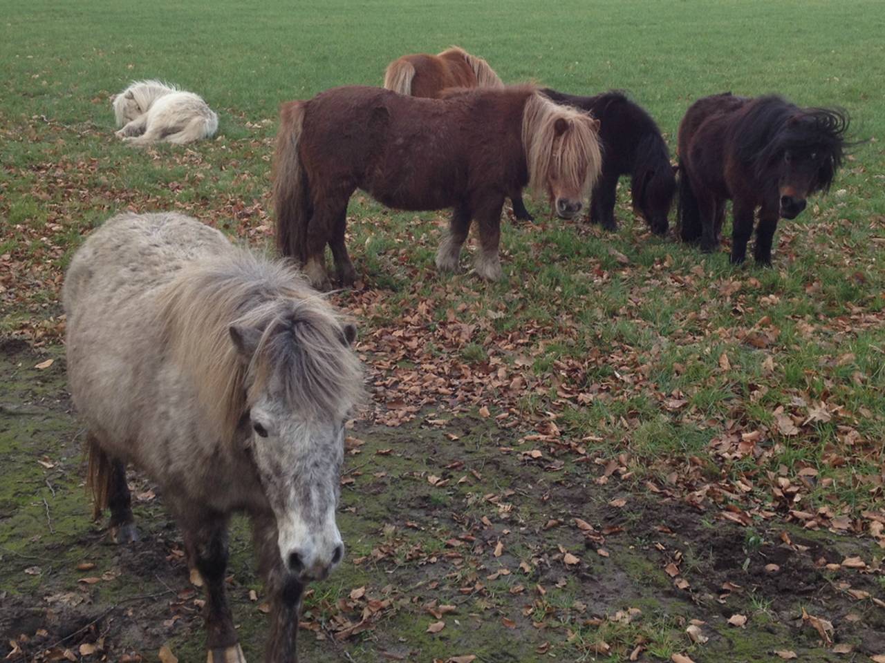 Omroep Brabant