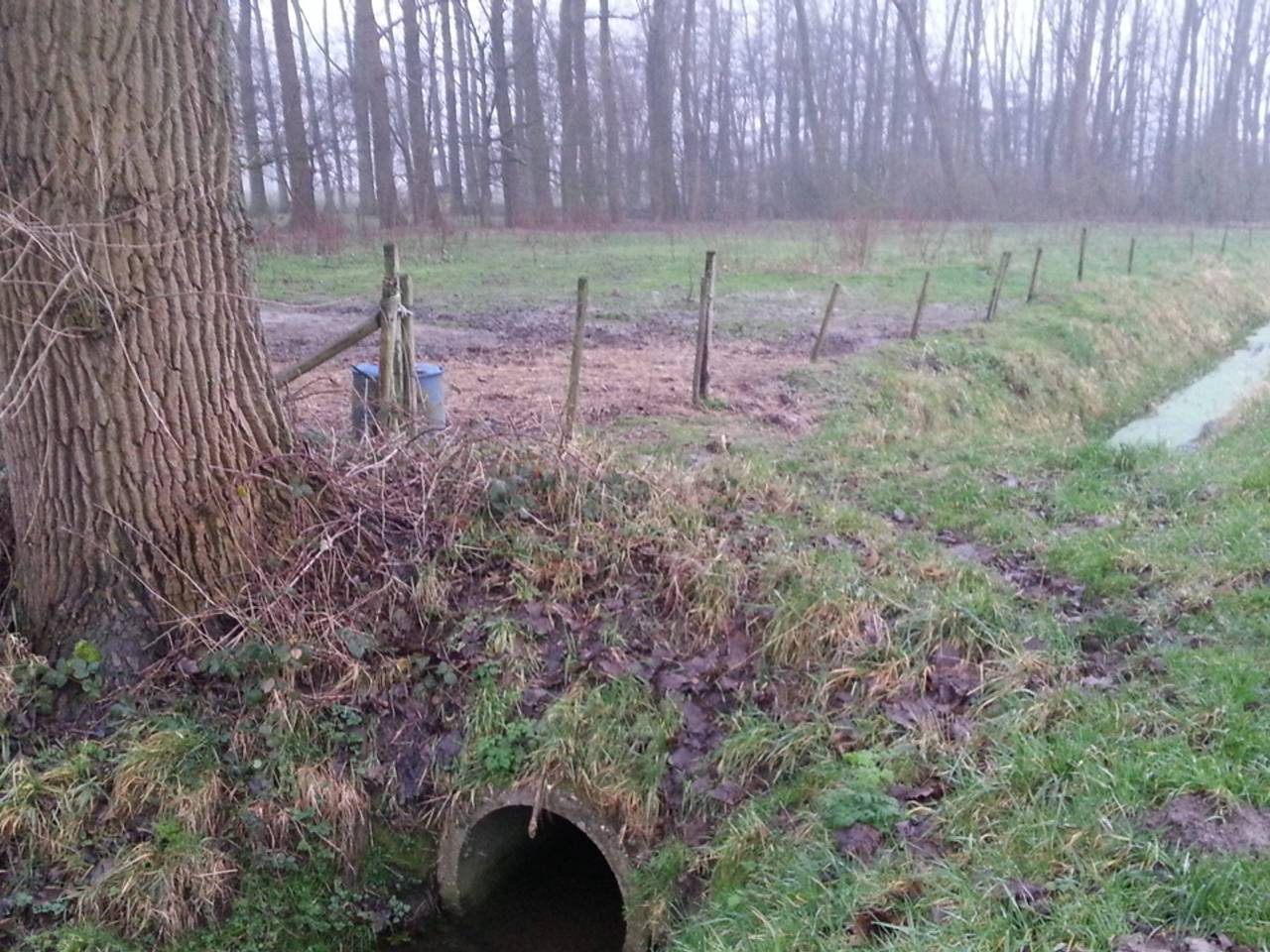 Omroep Brabant