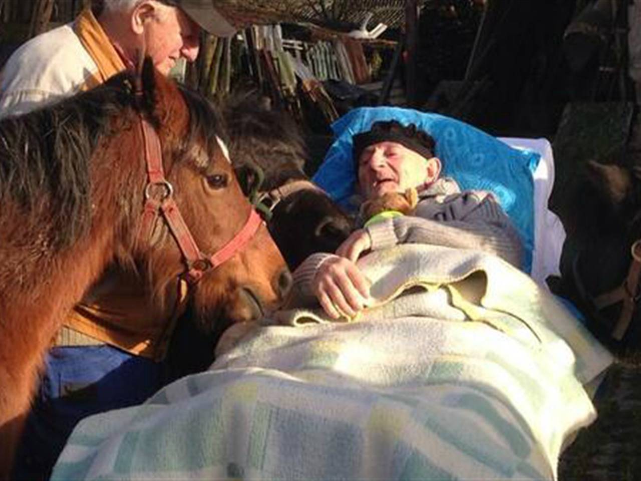 Foto: St. Ambulance Wens (Twitter)