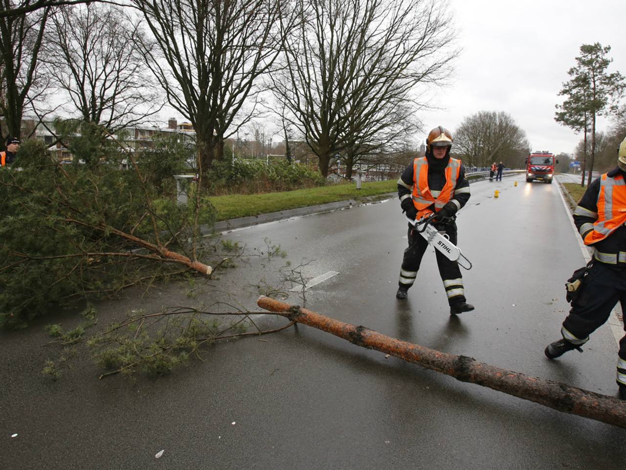 Omgewaaide boom op Tilburgseweg bij Eindhoven hindert verkeer )Foto: Hans van Hamersveld/SQ Vision'