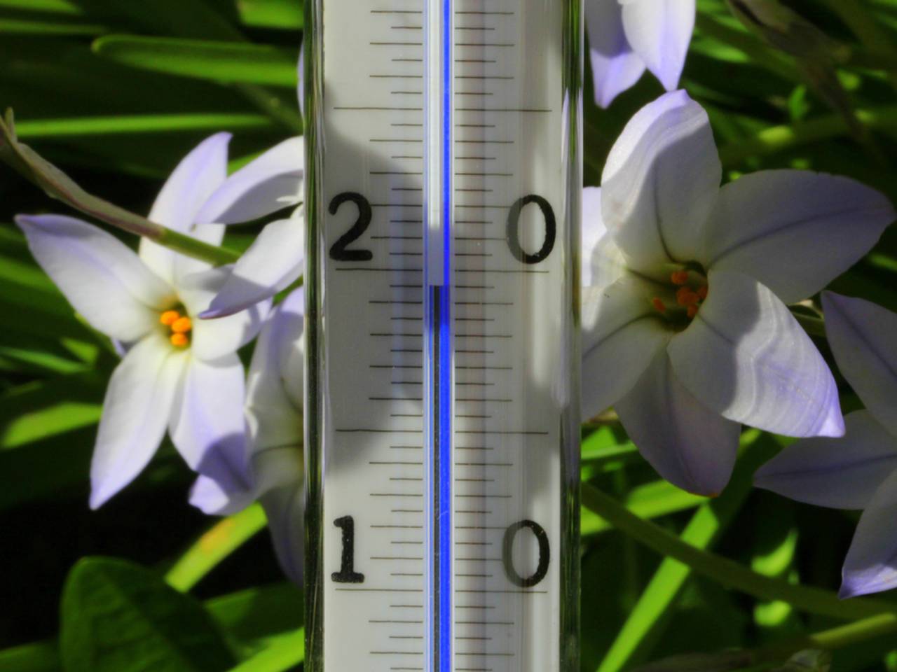 Lente in Brabant! (Foto: Ab Donker)