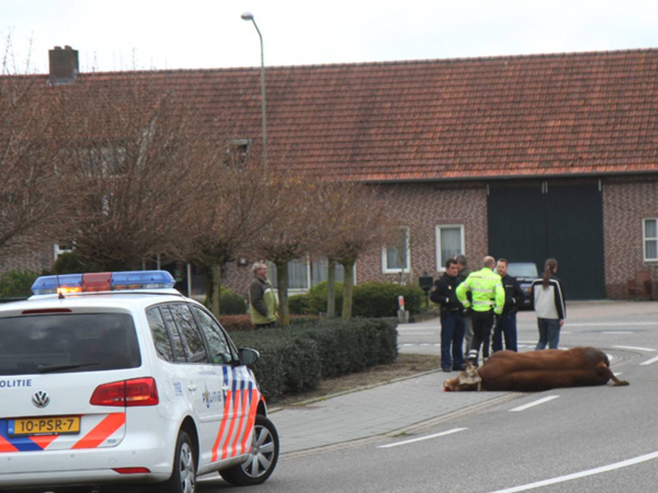 Foto: Marco van den Broek