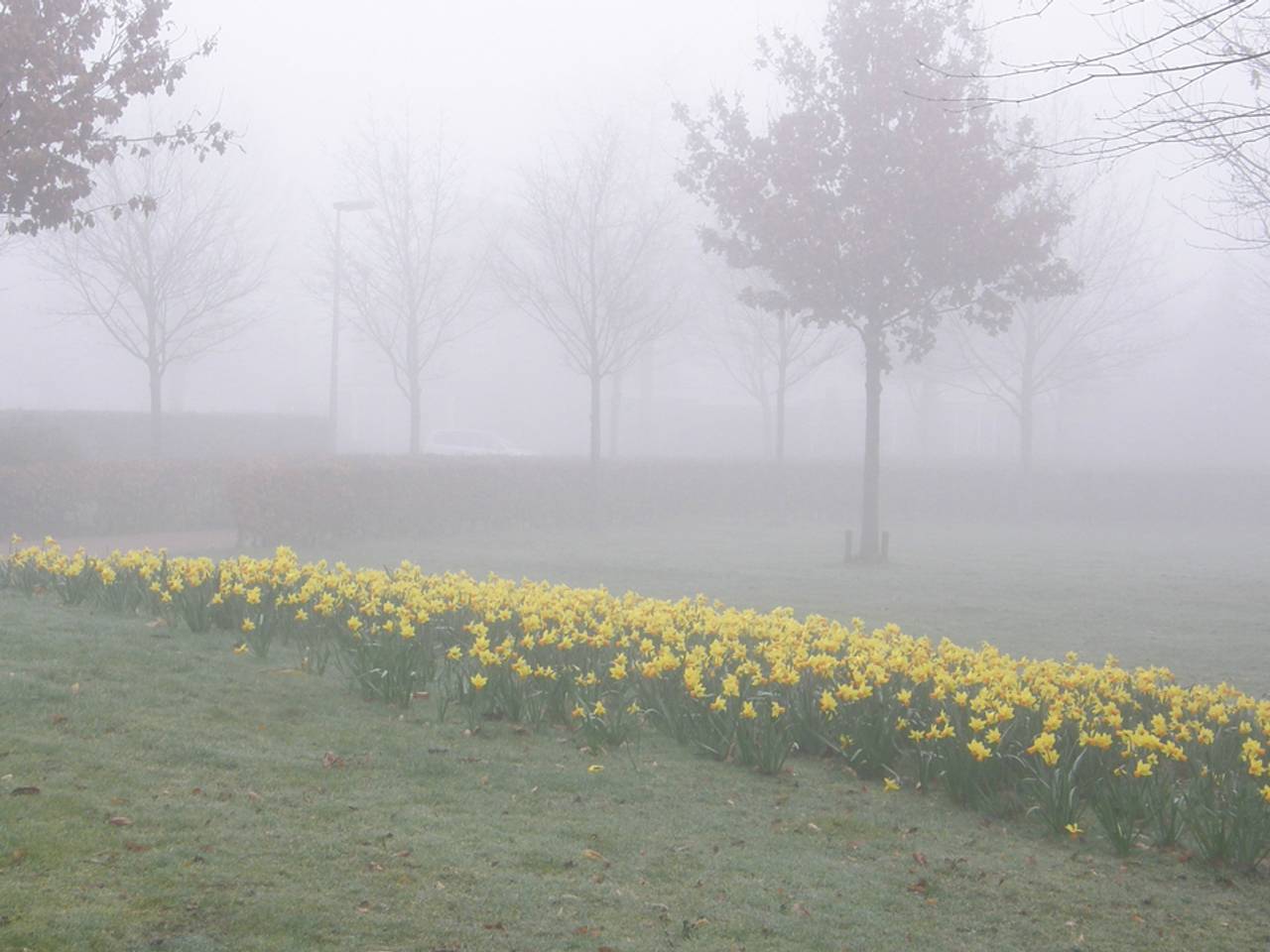 Omroep Brabant