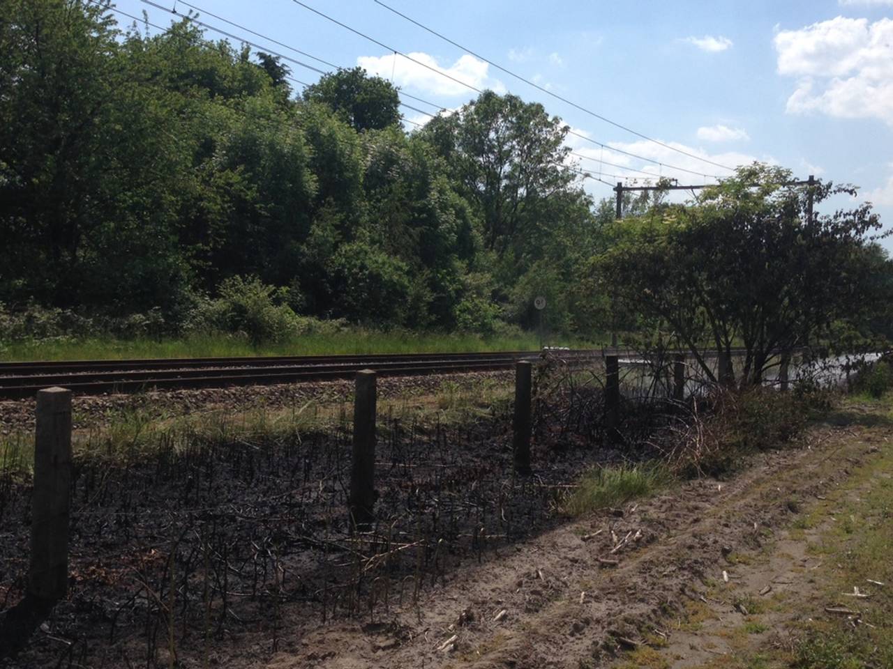 Foto: Bart Meesters (Meesters Multi Media)