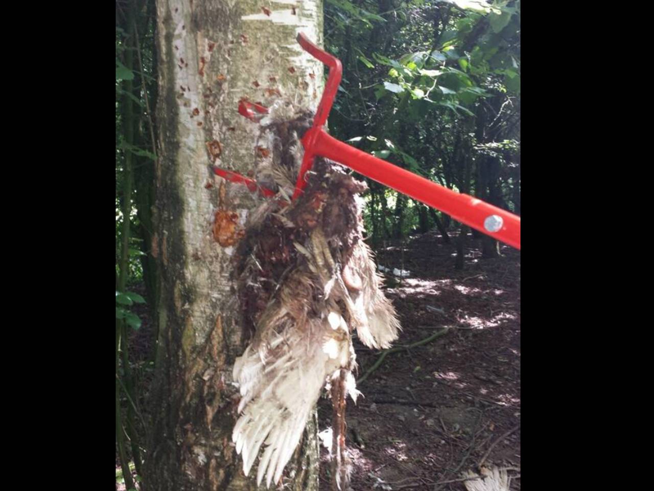 Foto: Dierenpolitie/Twitter