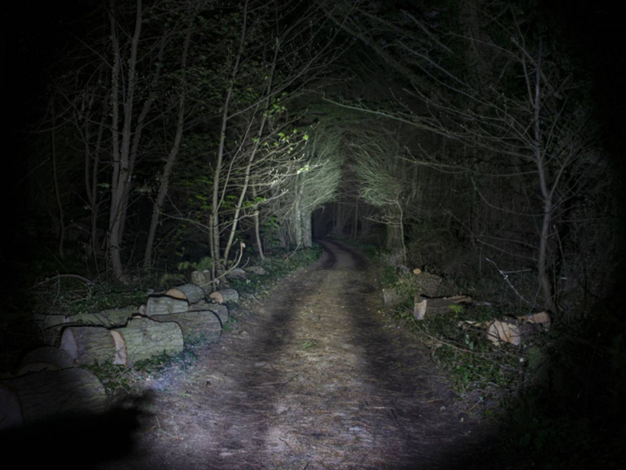 Foto: Ilse Wolf (www.ilsewolf.nl)