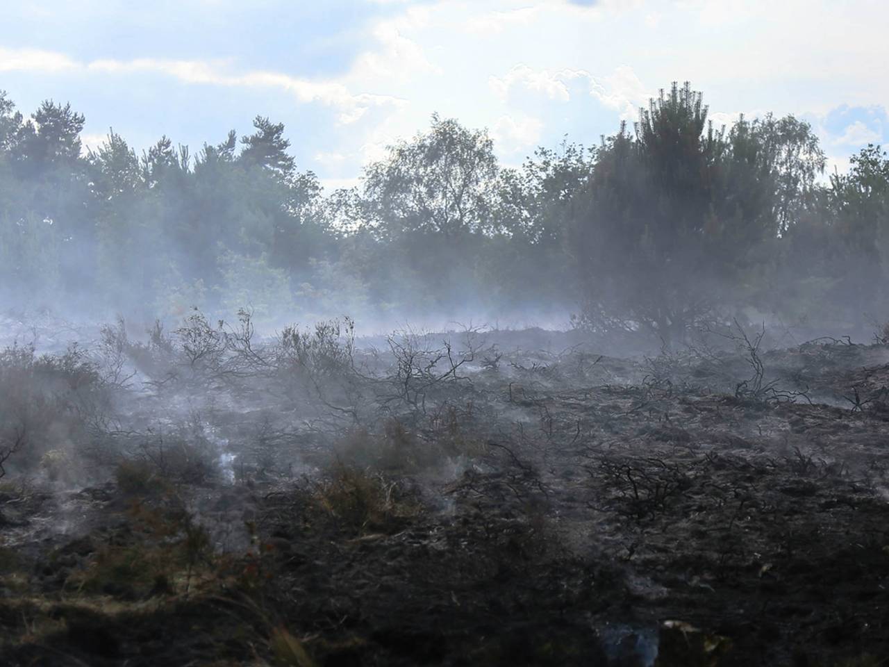 Motorrijder botst tegen brandweerauto die op weg was naar een bosbrand in Waalre
