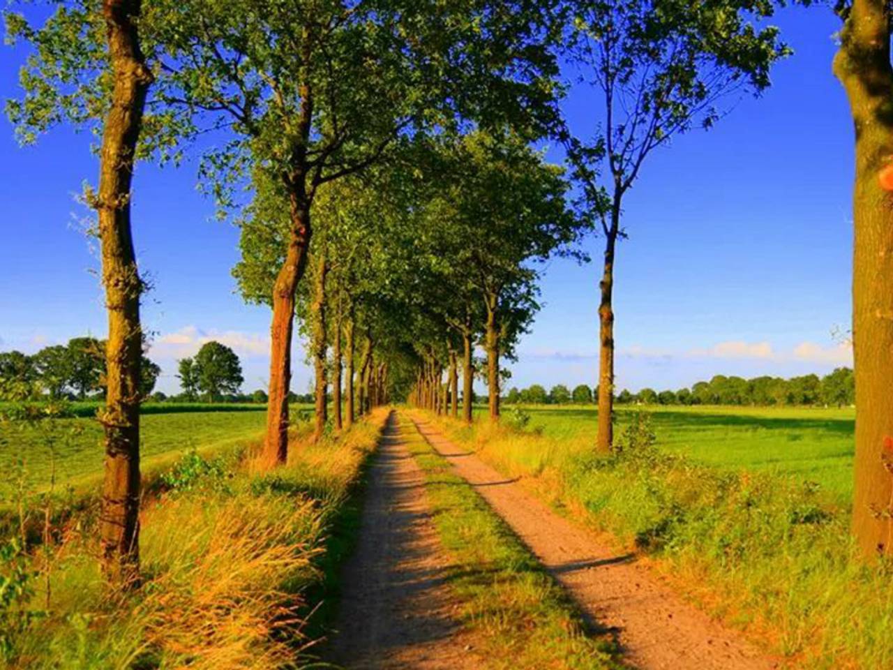 Omroep Brabant