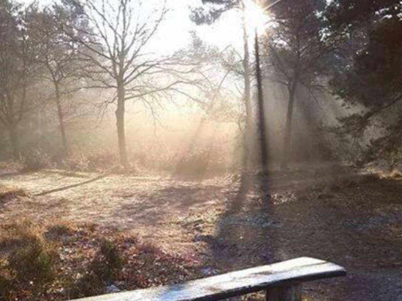 Omroep Brabant