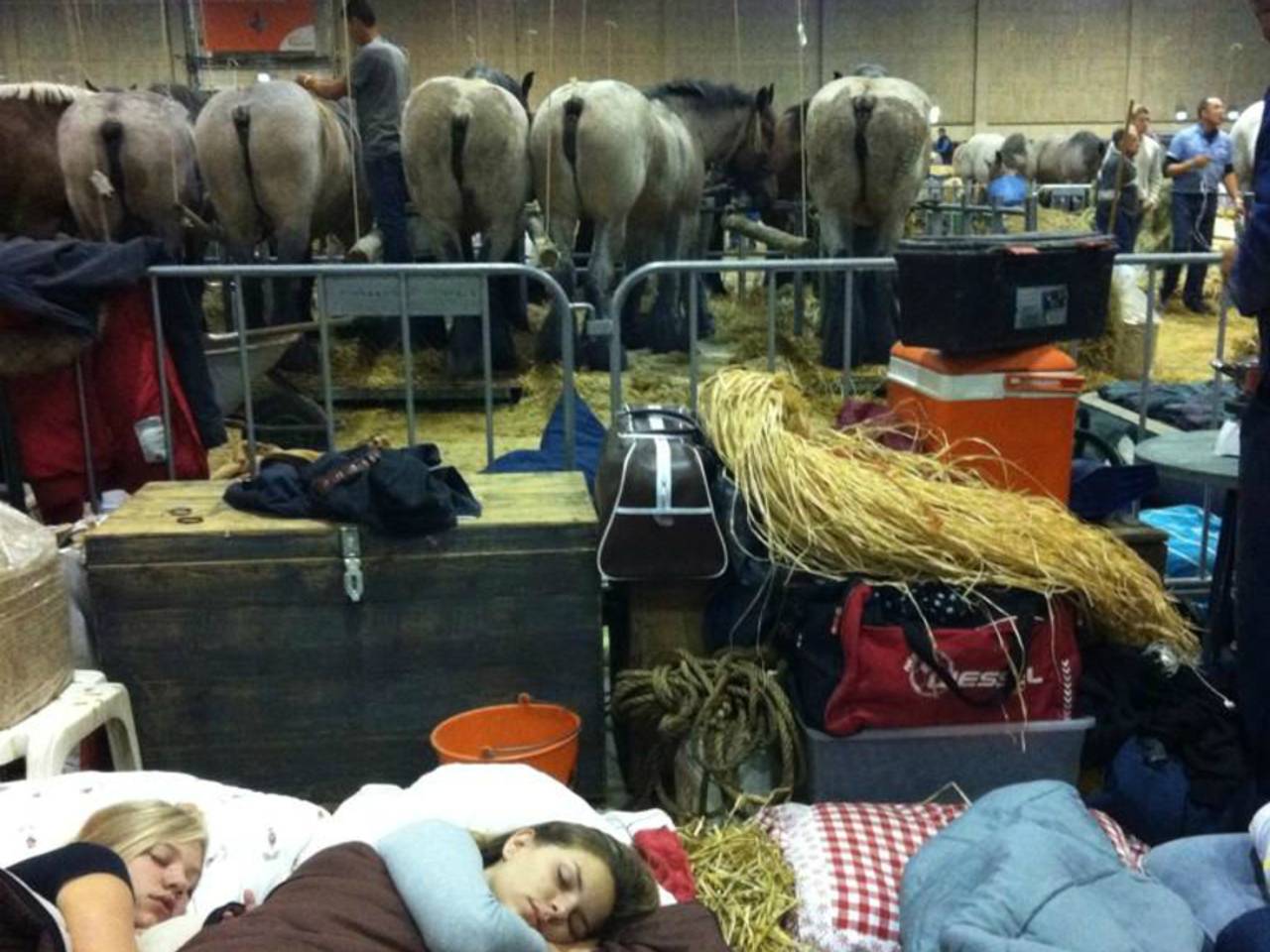 Eigenaren van paarden slapen bij hun dieren in de Brabanthallen