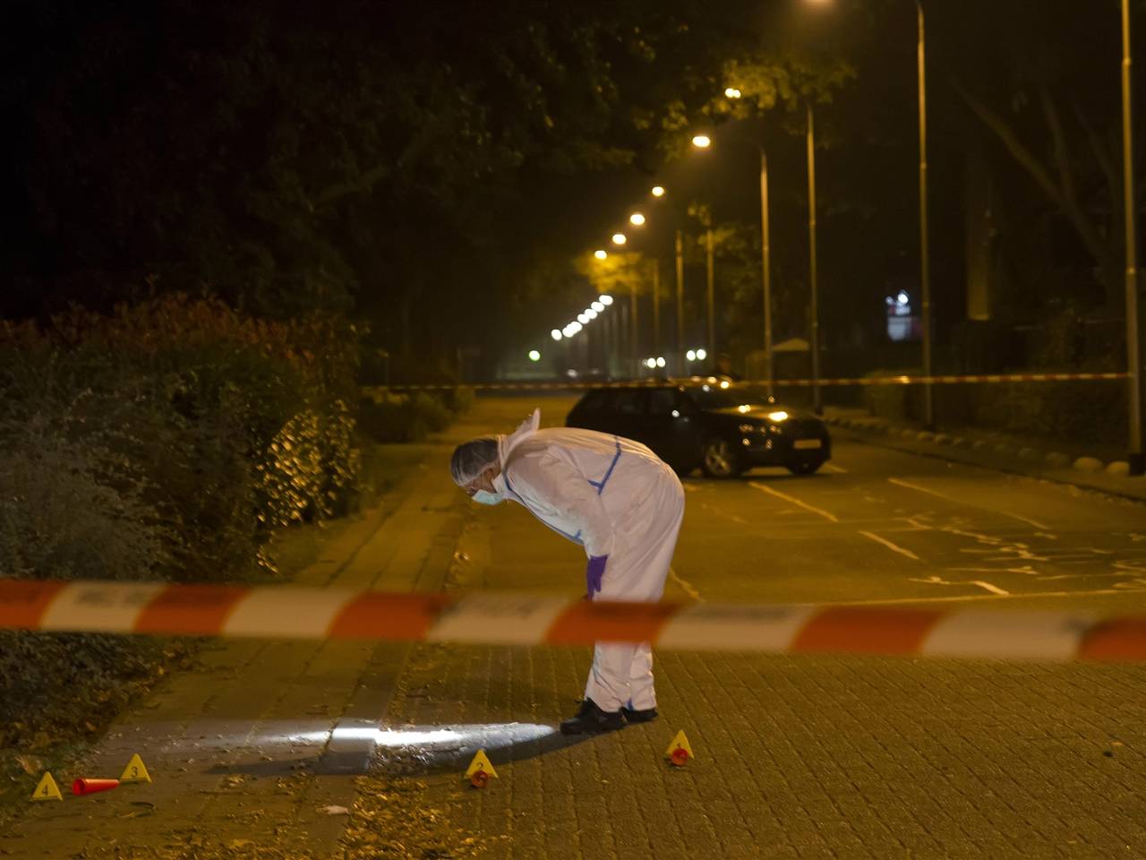Sporenonderzoek in het Westerpark in Tilburg (Foto: Jack Brekelmans / Persburo-BMS)