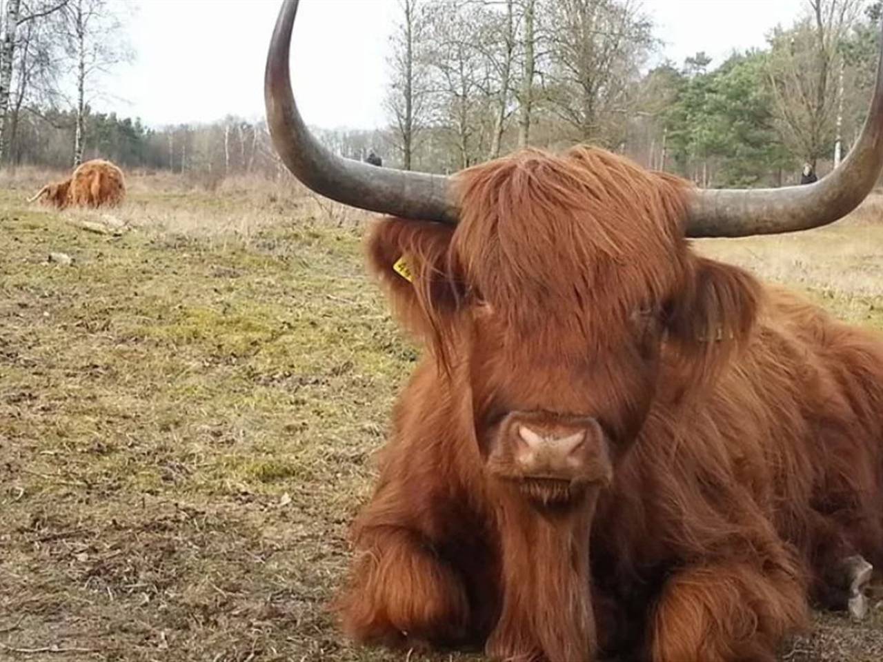 Omroep Brabant