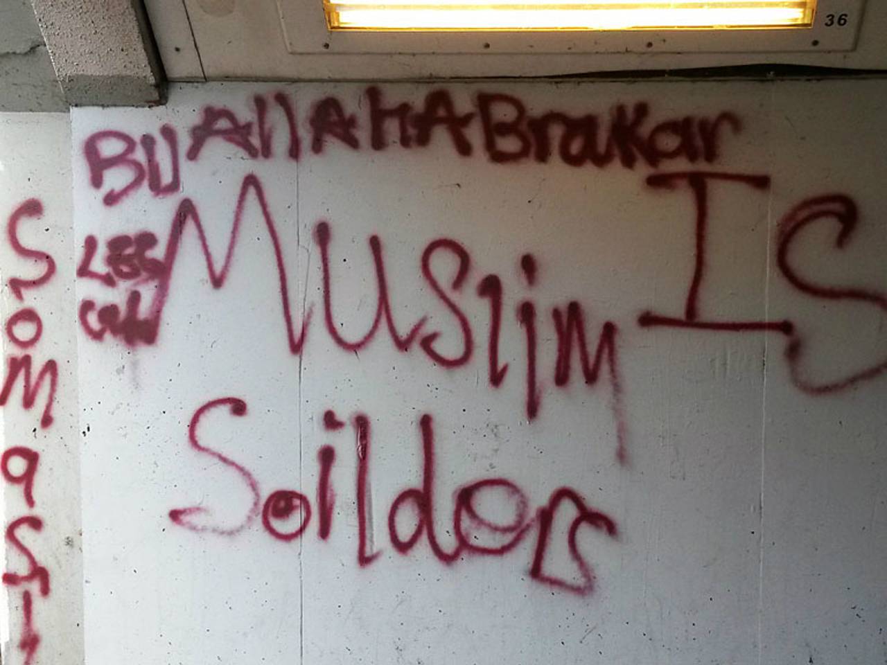 Foto: Arno van der Linden (SQ Vision)