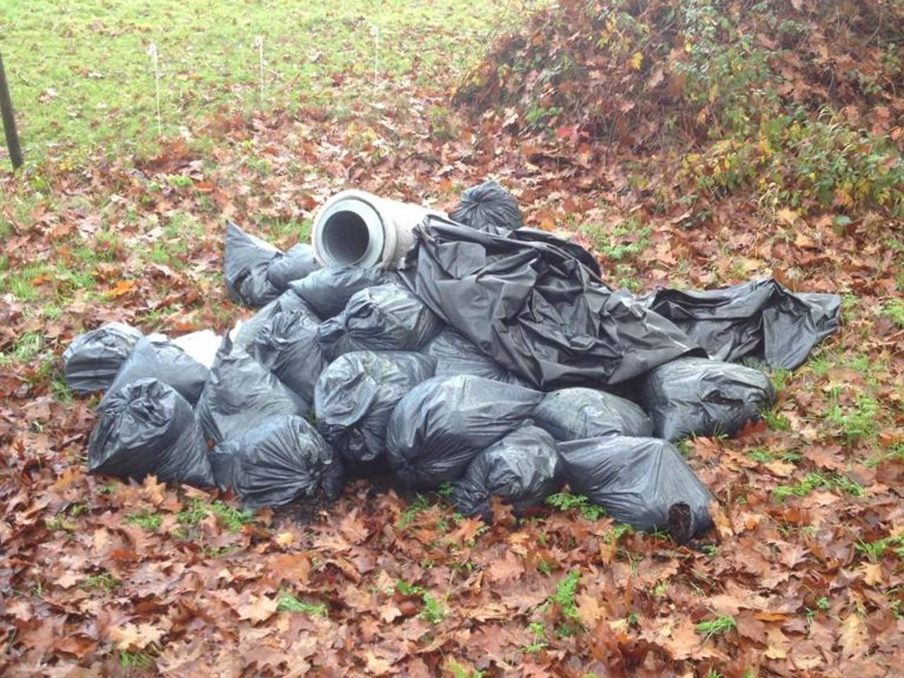 Hennepafval in het buitengebied van Bergen op Zoom