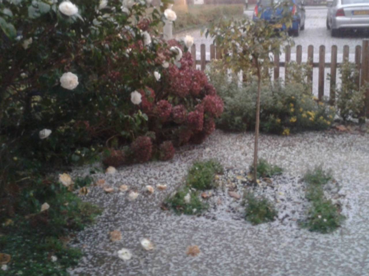 Omroep Brabant