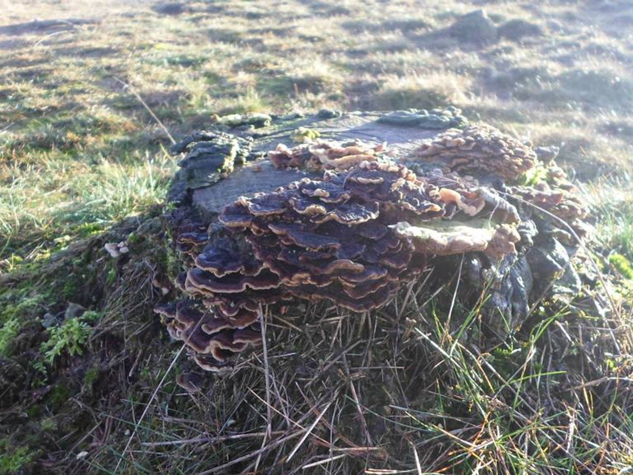 Omroep Brabant