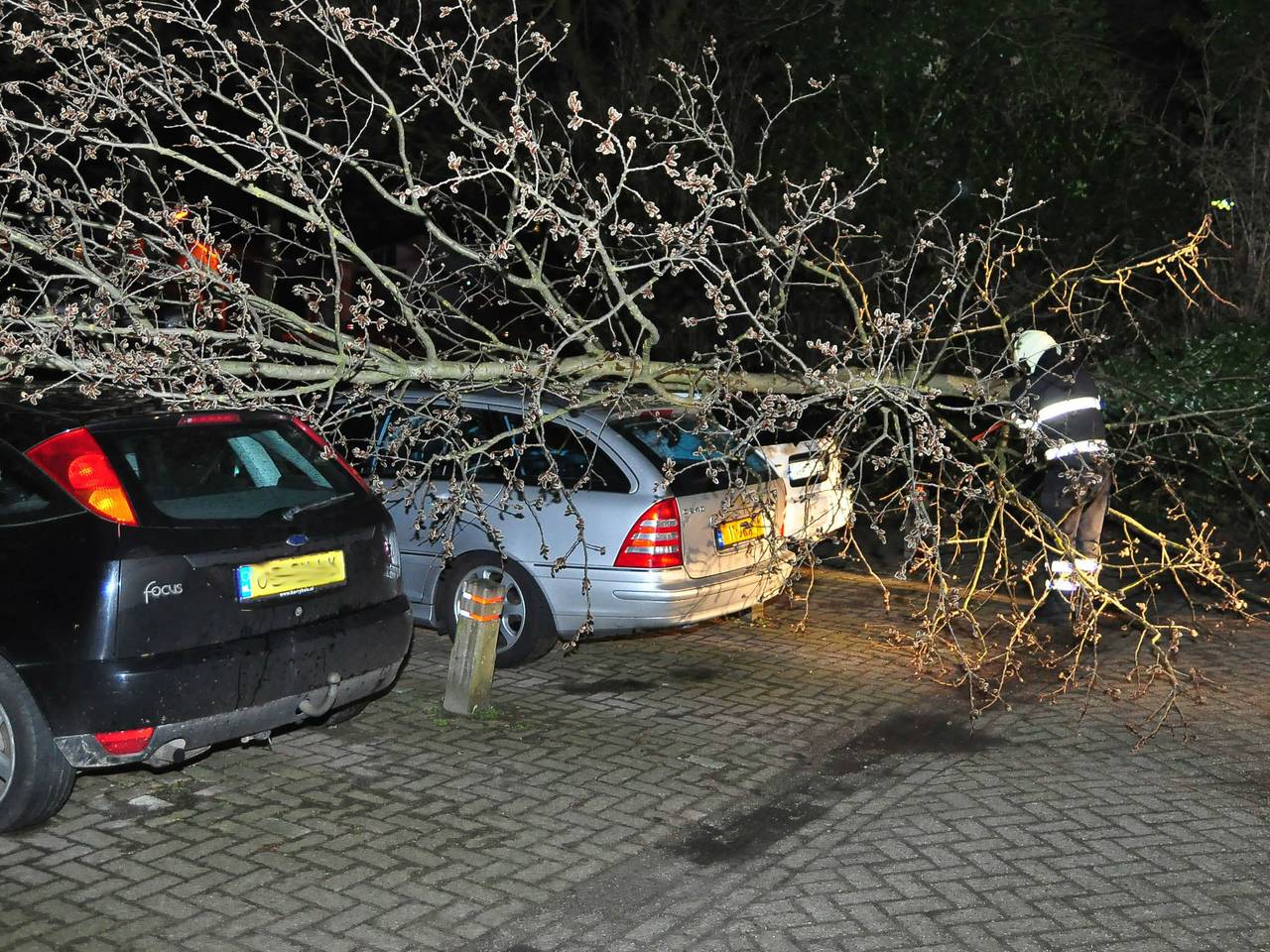 Boom waait op vier auto's in Waalwijk (Foto: FPMB/Marvin Doreleijers)