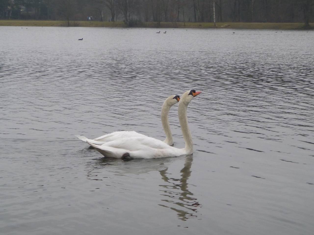 Omroep Brabant