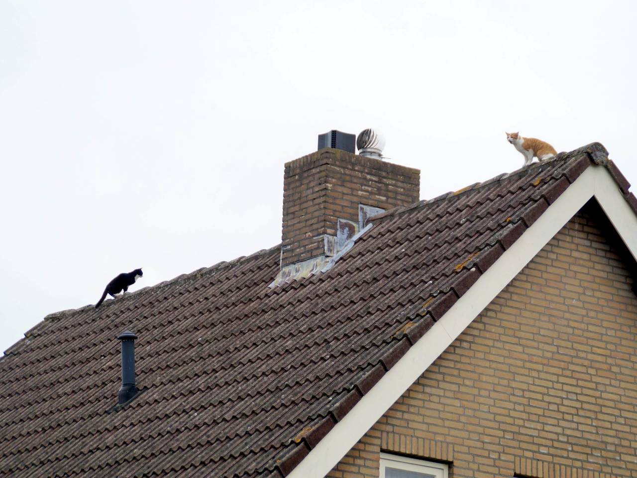 Omroep Brabant