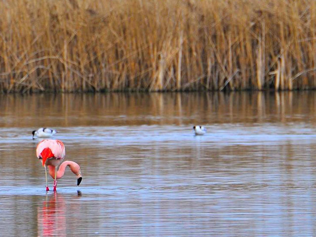 Foto's: Theo van der Meijs