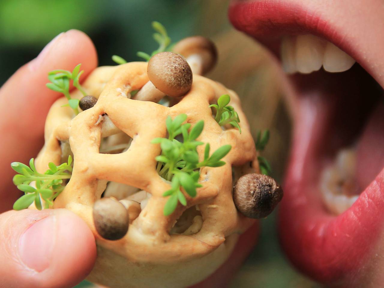 Foto: project Edible Growth