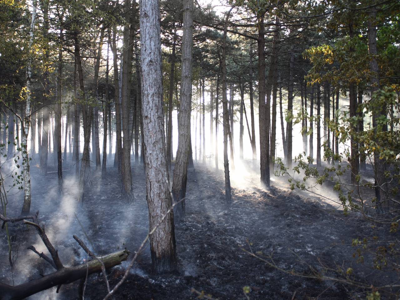 Foto: Jeroen Stuve / Persbureau Stuve fotografie