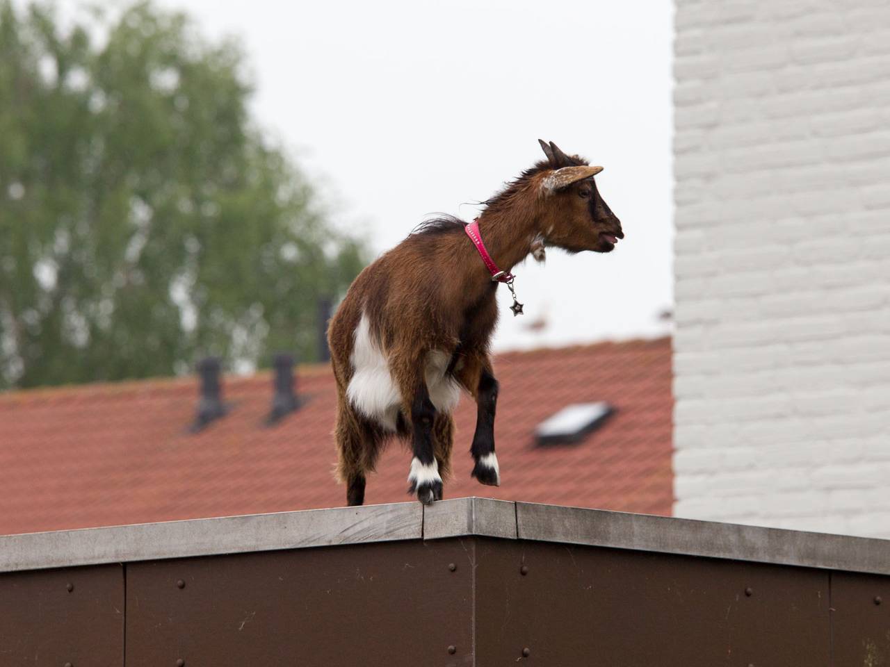 Omroep Brabant