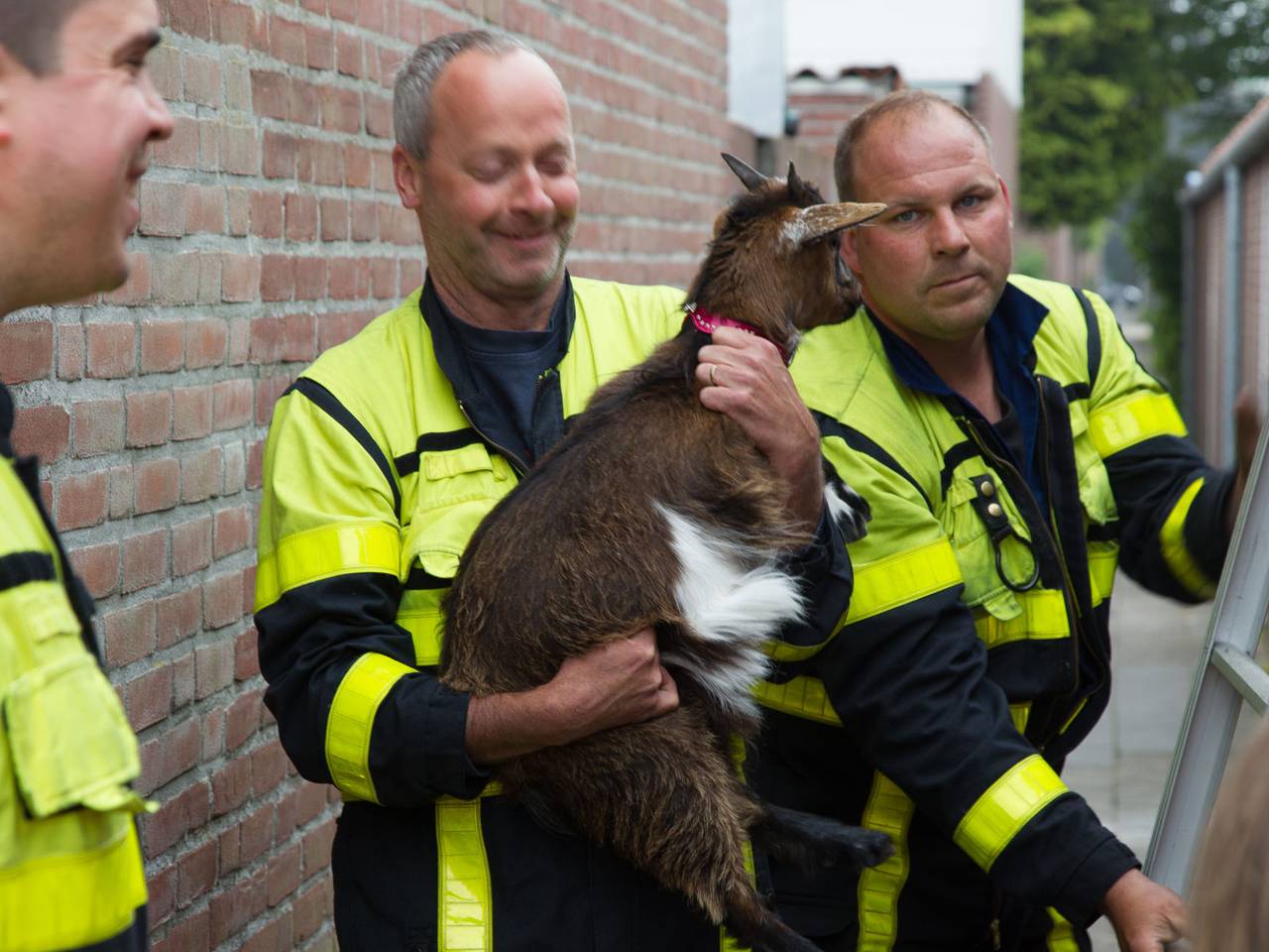Omroep Brabant