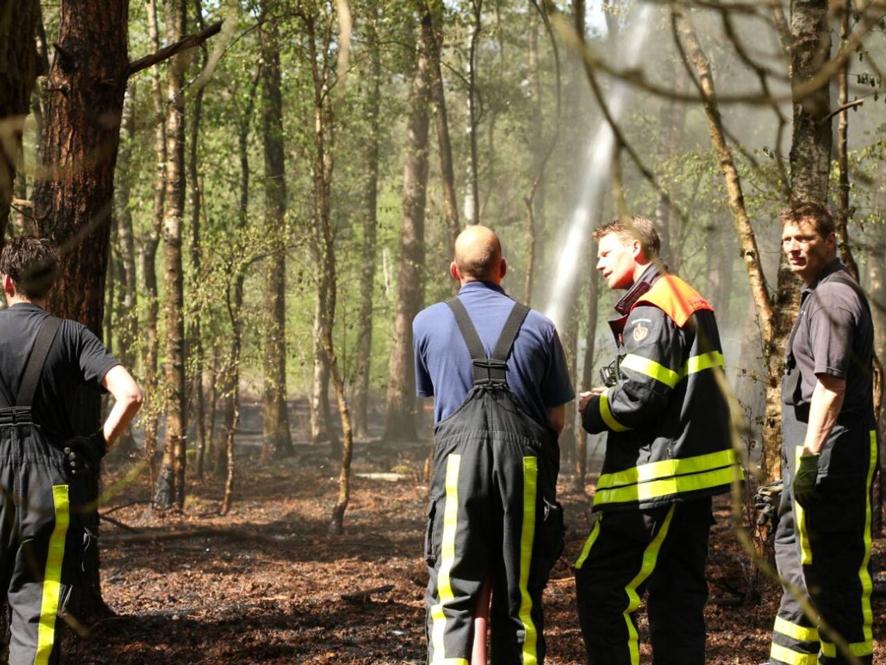 Grote natuurbrand Oude Rielsebaan Tilburg, gebied van vijf voetbalvelden groot afgebrand