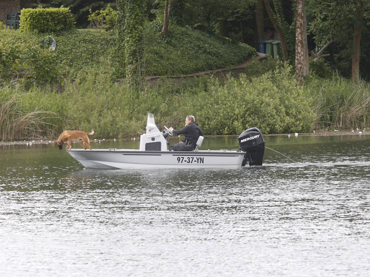 Politie zoekt in Nuenen naar vermiste Henry Pfaff
