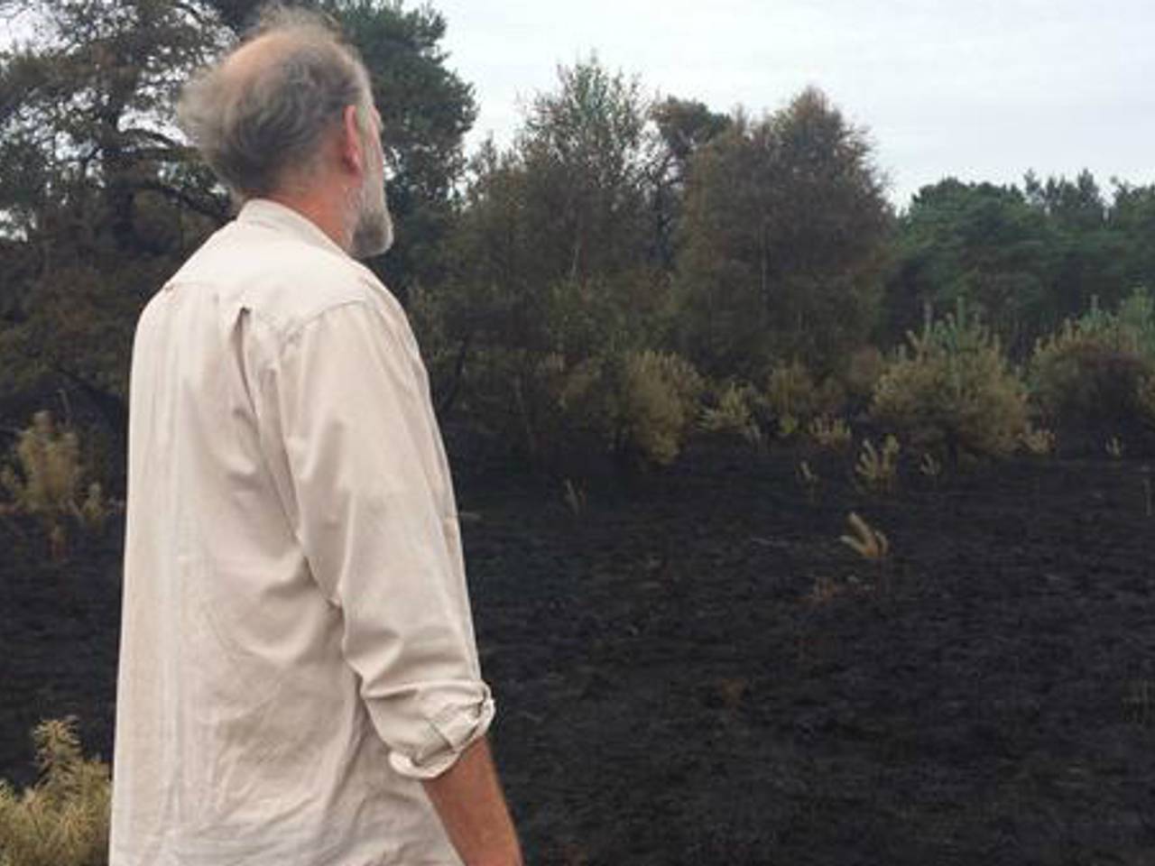 Boswachter Mari de Bijl kijkt naar het vernietigde natuurgebied. (Foto: Marjanka Oerlemans)