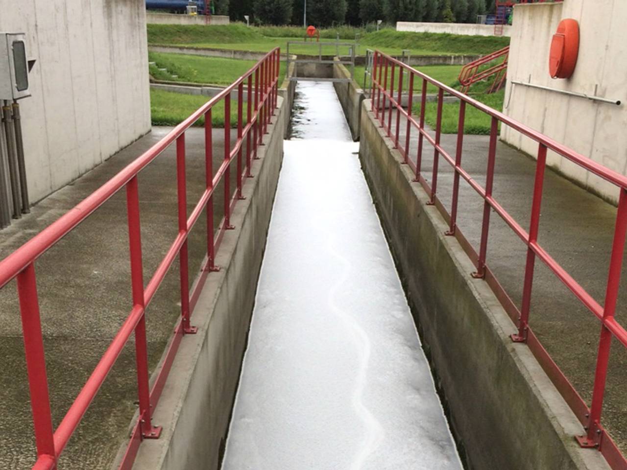 Schuim op het water in Aarle-Rixtel.