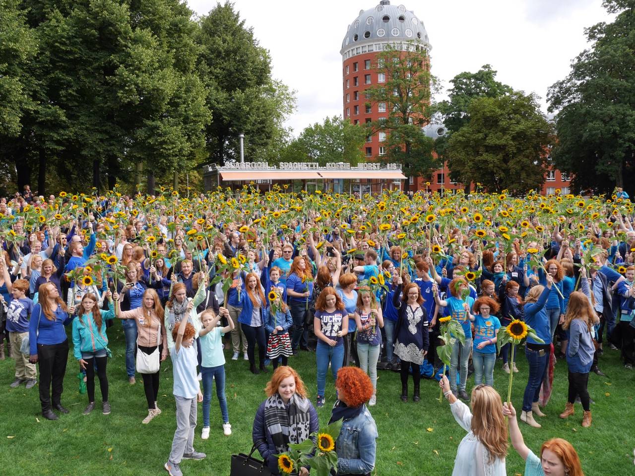 Omroep Brabant