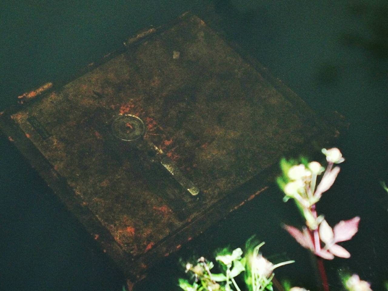 Foto: Fons Hendriks (Hendriks Multi media)