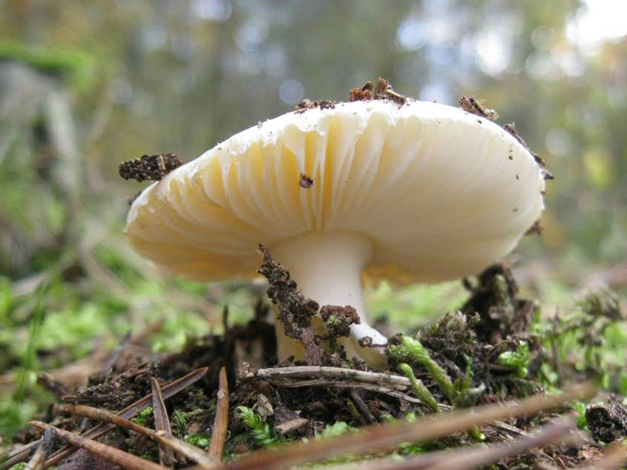 Omroep Brabant