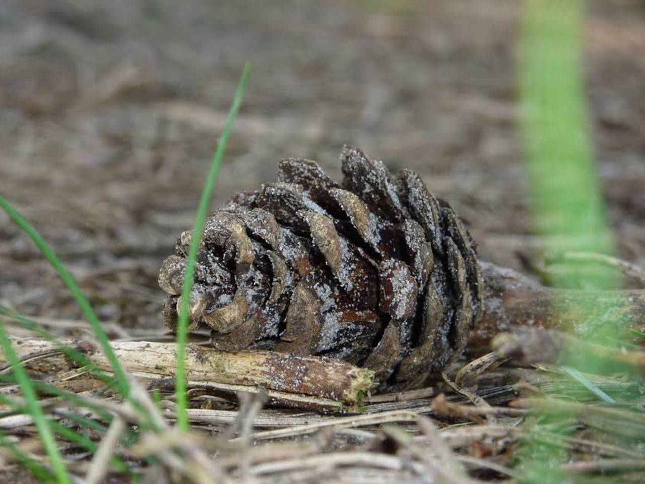 Omroep Brabant