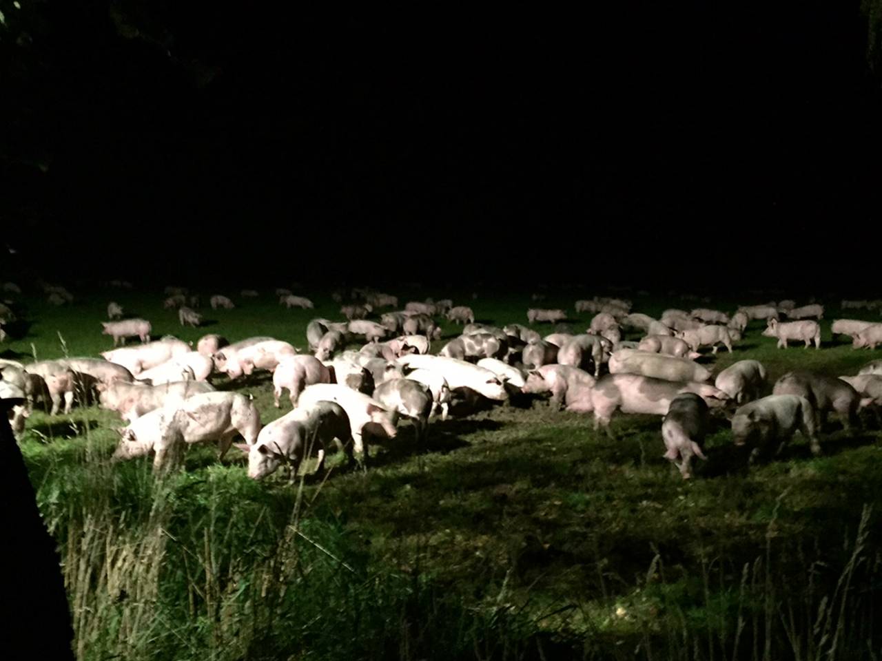 Omroep Brabant