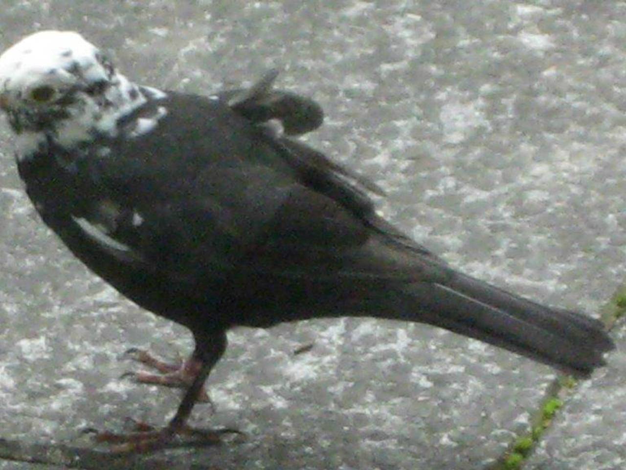 Omroep Brabant