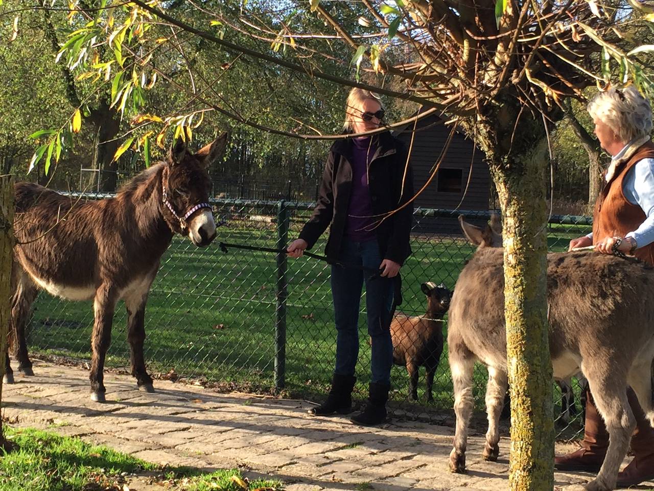 Omroep Brabant