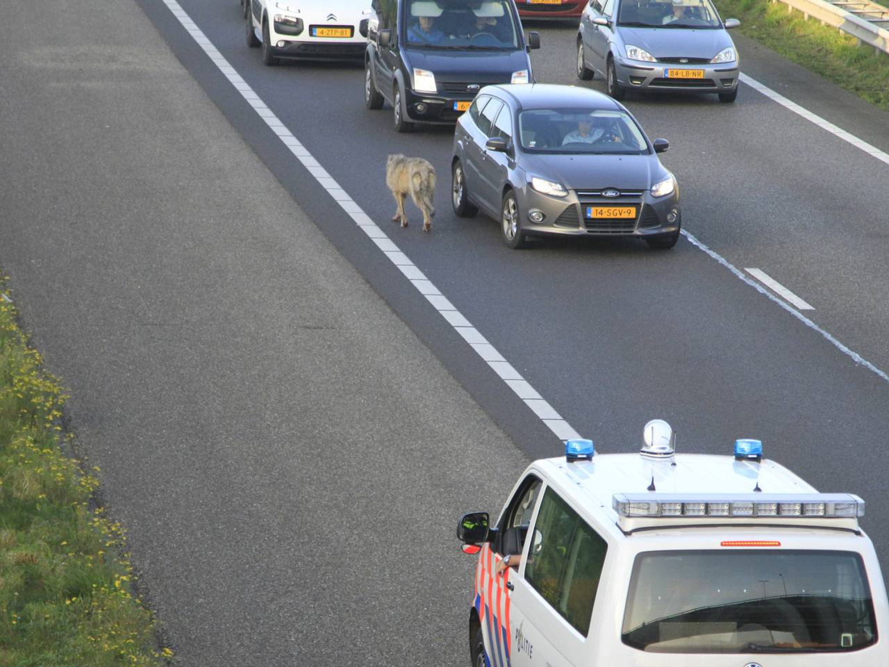 Omroep Brabant