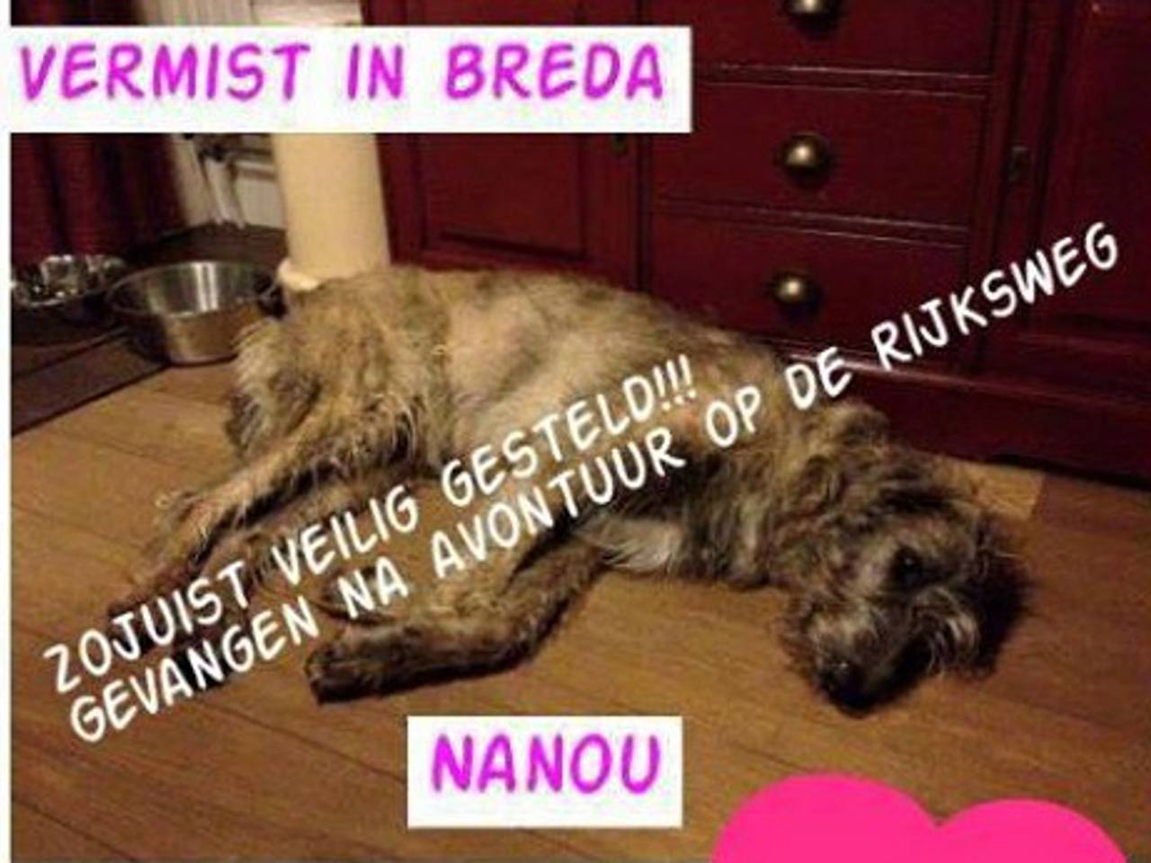 Omroep Brabant