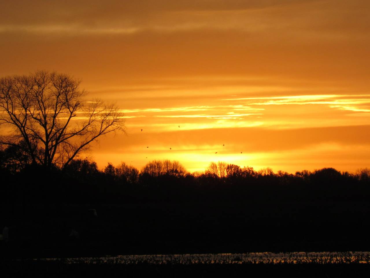 Omroep Brabant