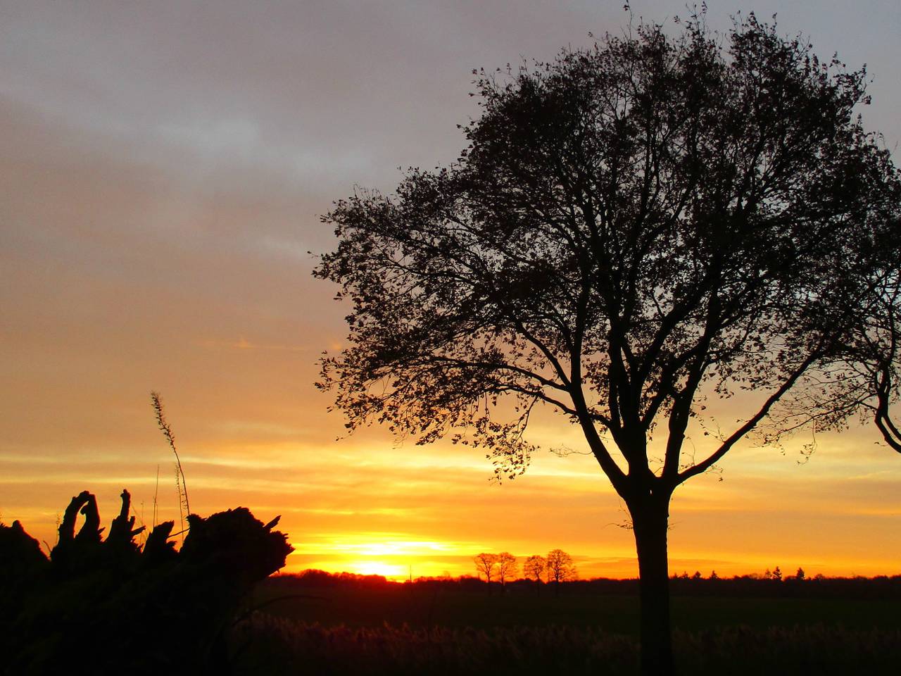 Omroep Brabant