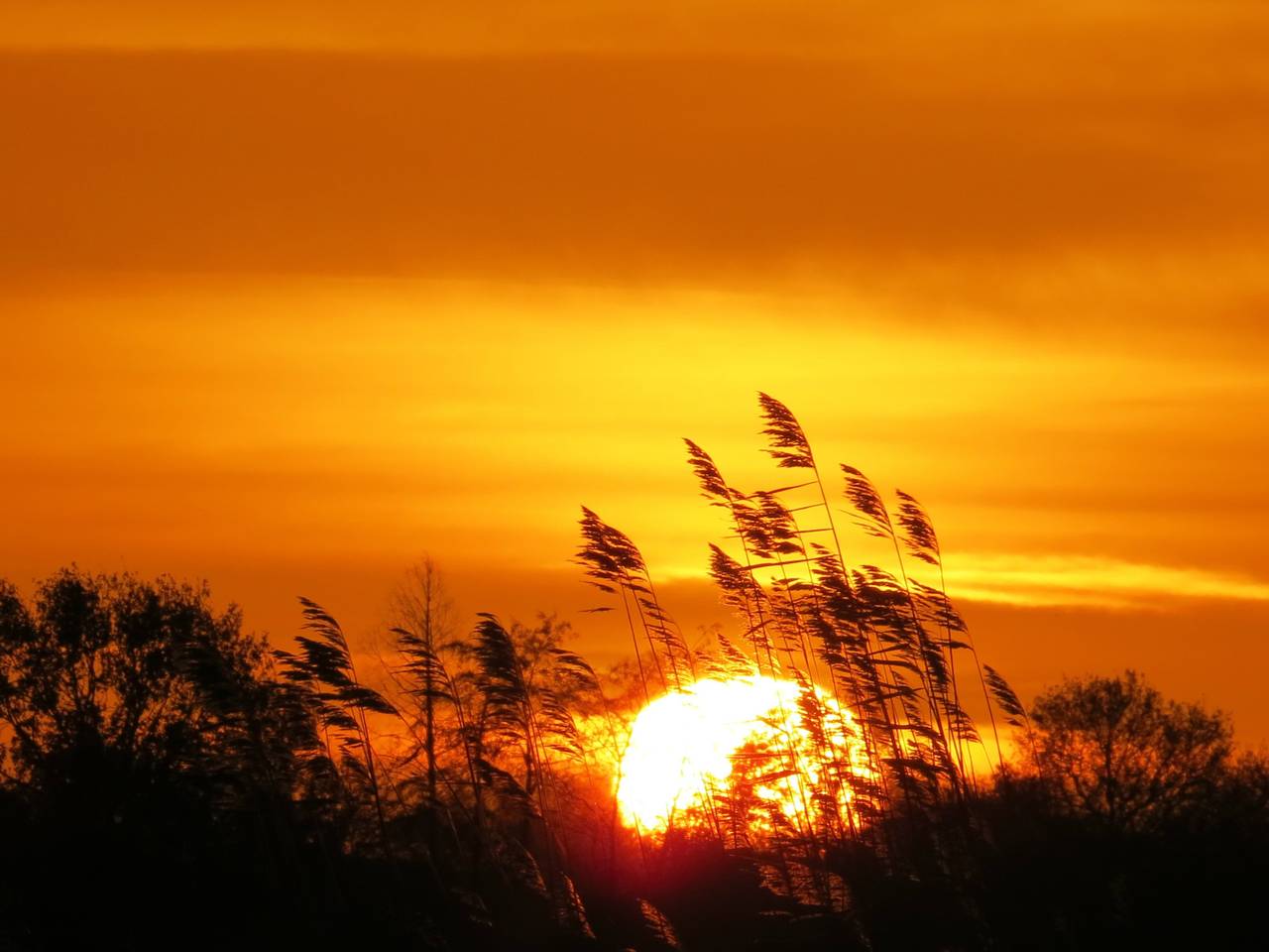 Omroep Brabant