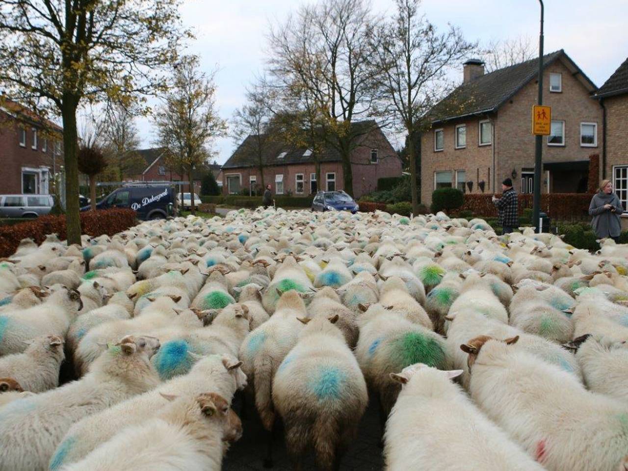 Omroep Brabant