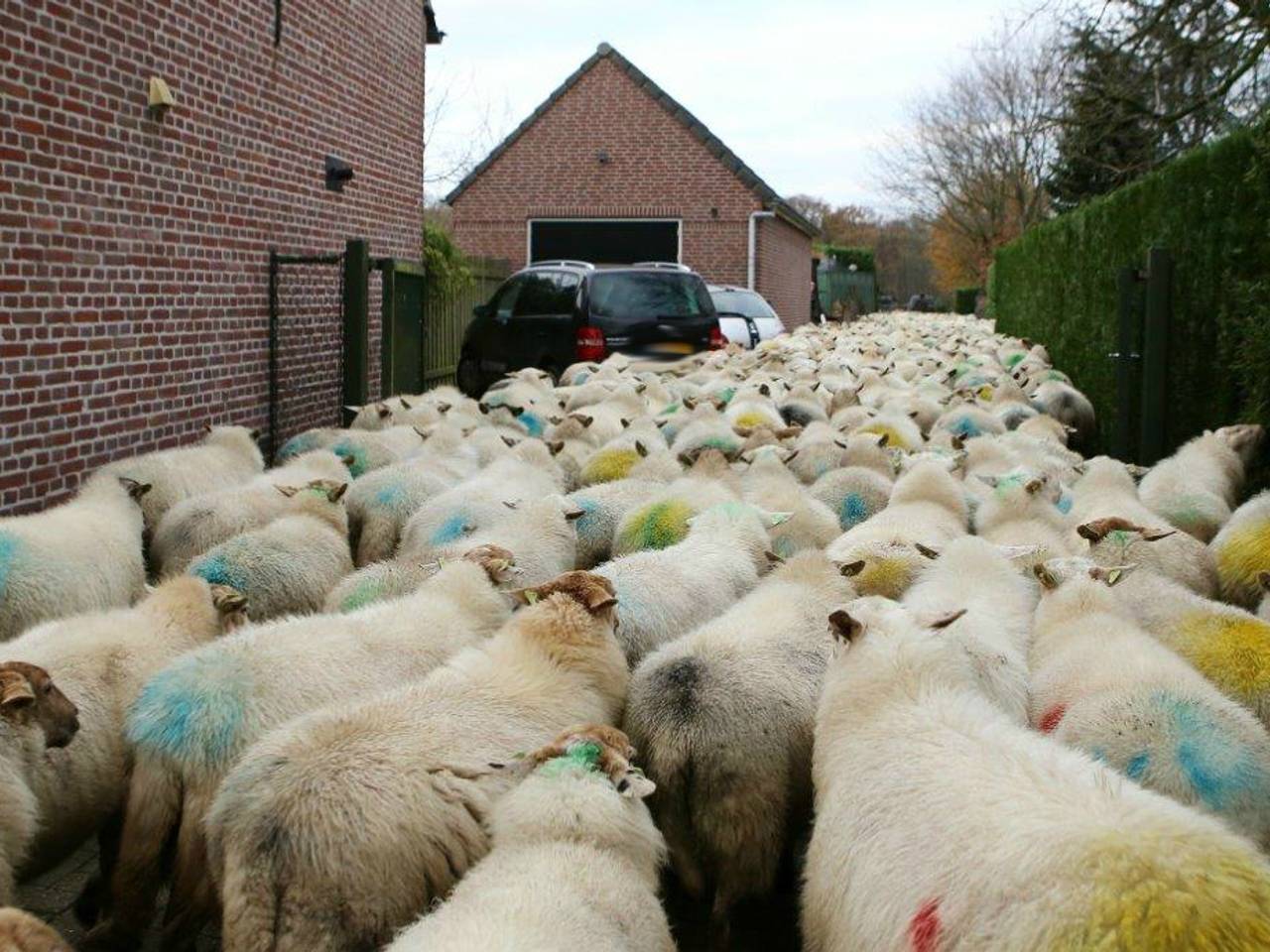 Omroep Brabant